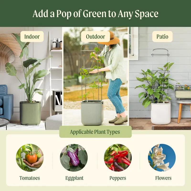 Self-Watering Planter with Climbing Trellis