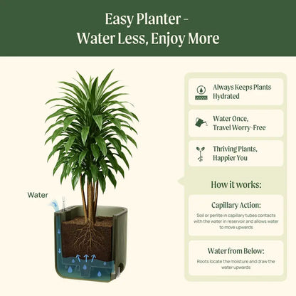 Self-Watering Planter with Climbing Trellis