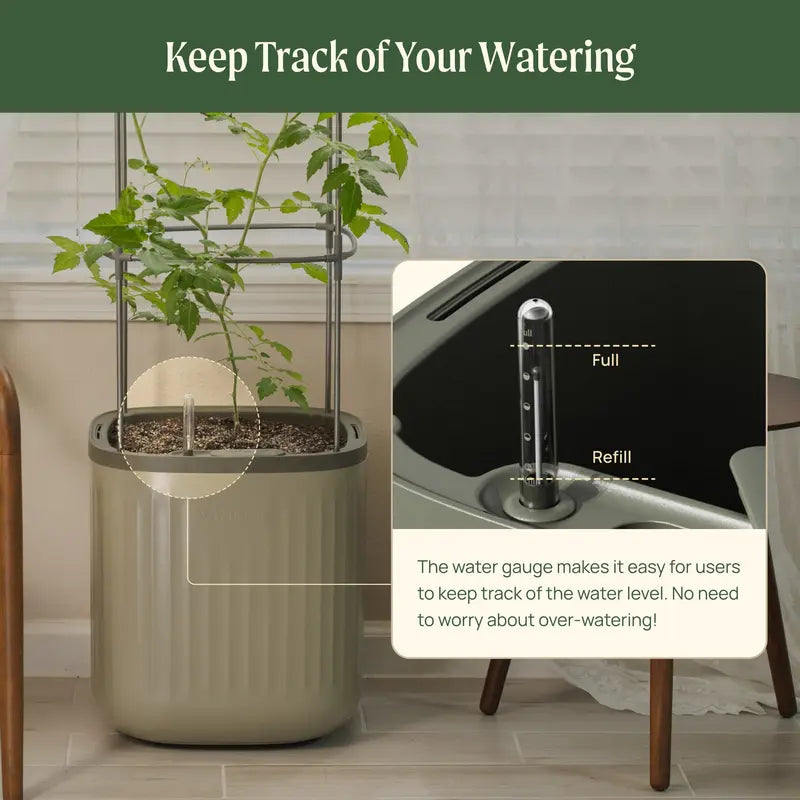 Self-Watering Planter with Climbing Trellis